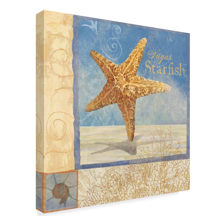 Highland Dunes Starfish Ocean Beauties On Canvas By Art Licencing Studio Print Wayfair Canada